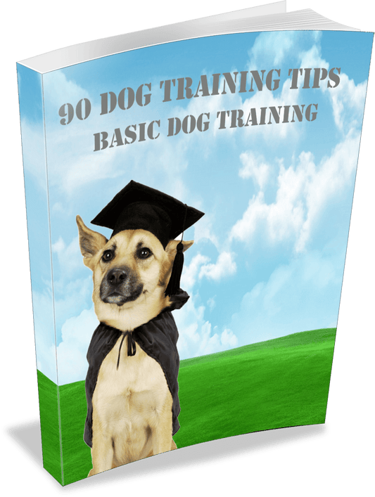 90 Dog Training Tips