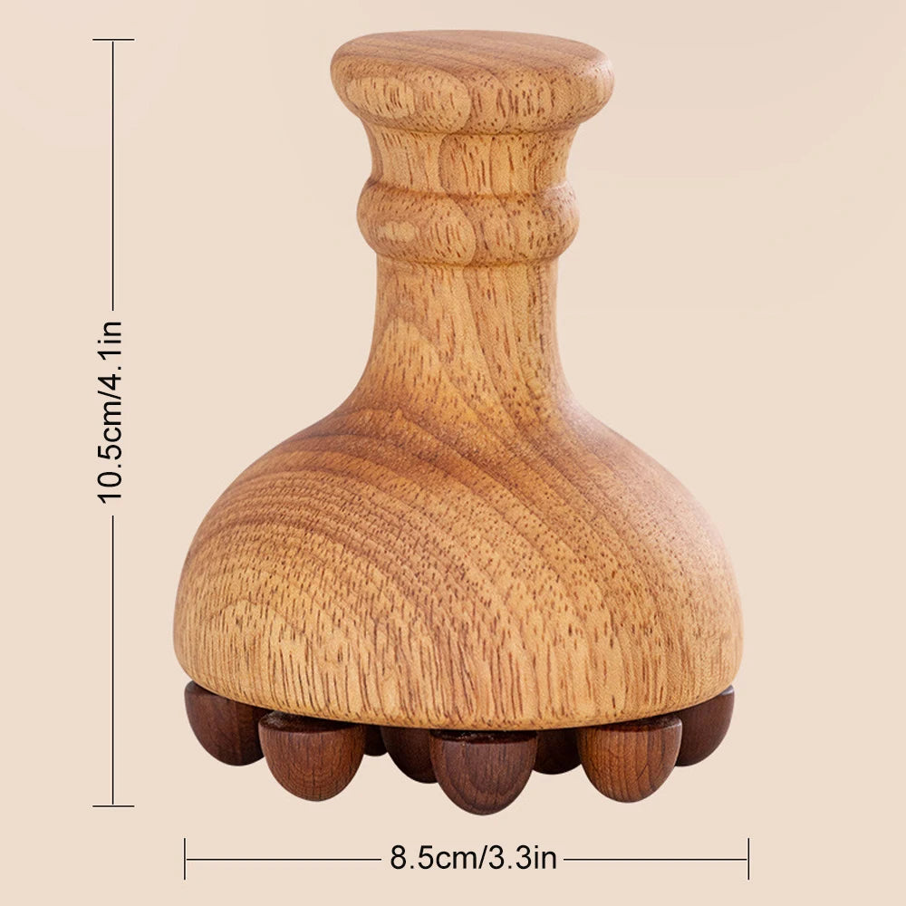 Mushroom Body Sculptor