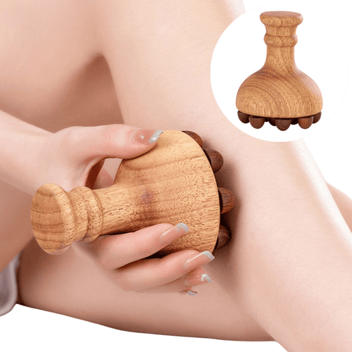 Mushroom Body Sculptor