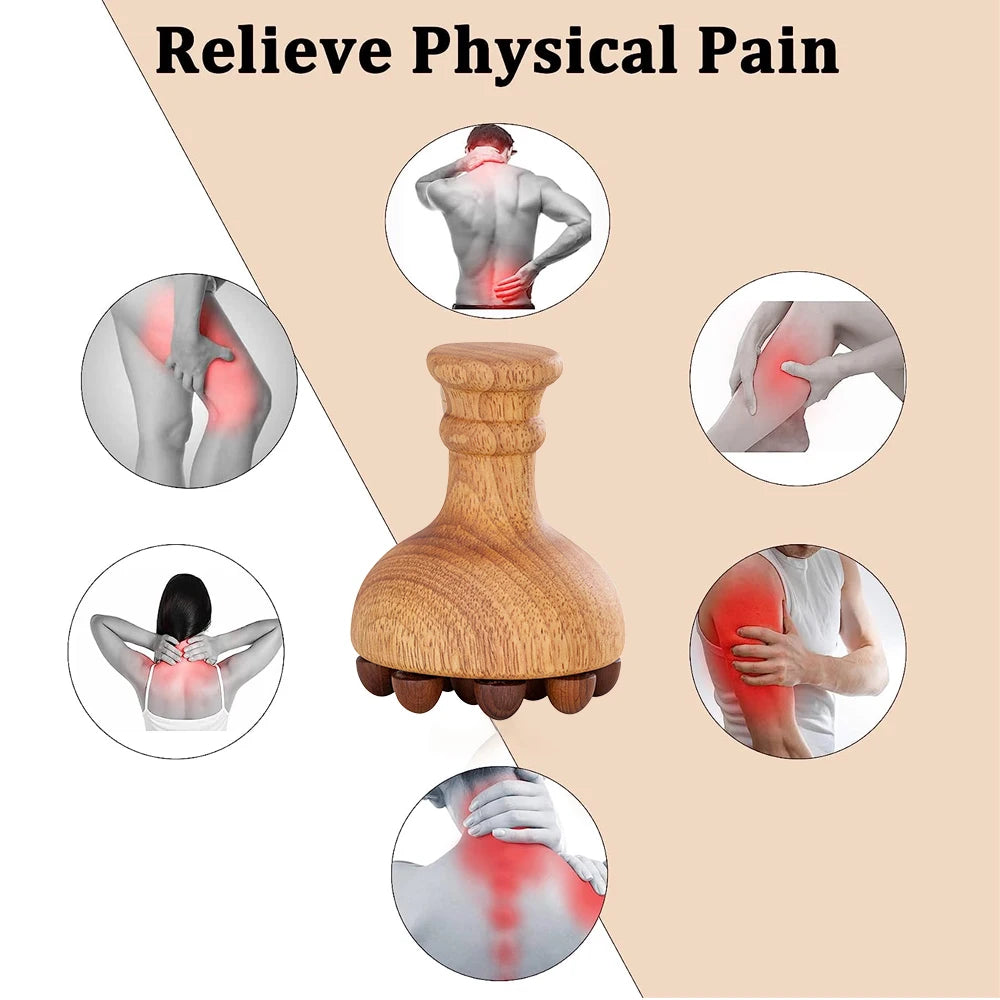 Mushroom Body Sculptor