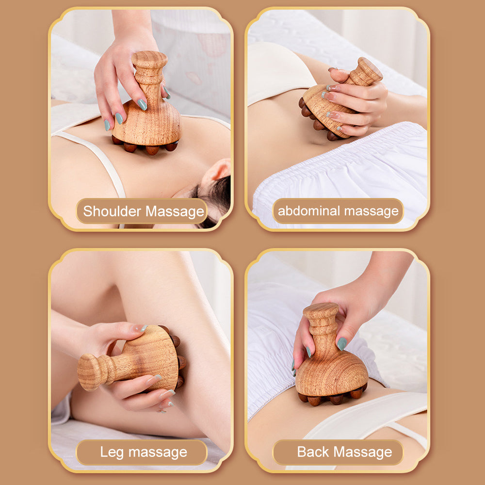 Mushroom Body Sculptor